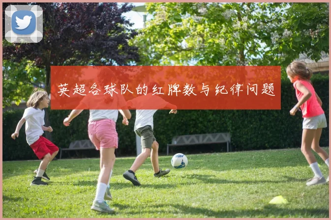 英超各球队的红牌数与纪律问题