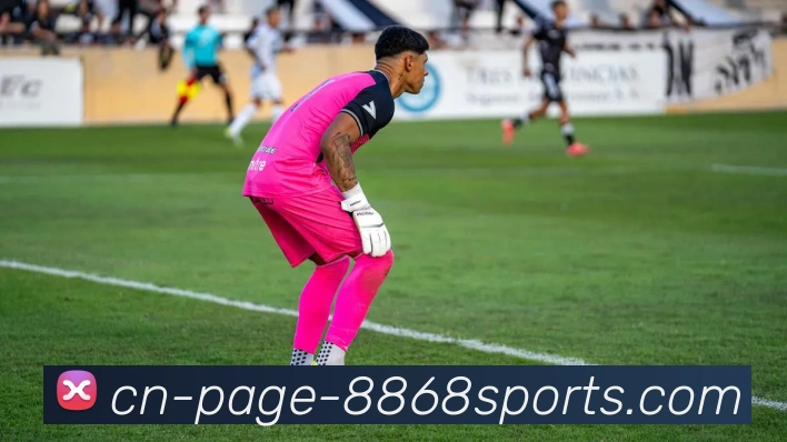 8868体育服务体系